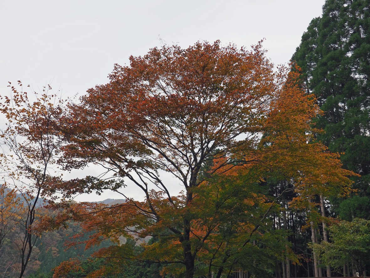 PB070114