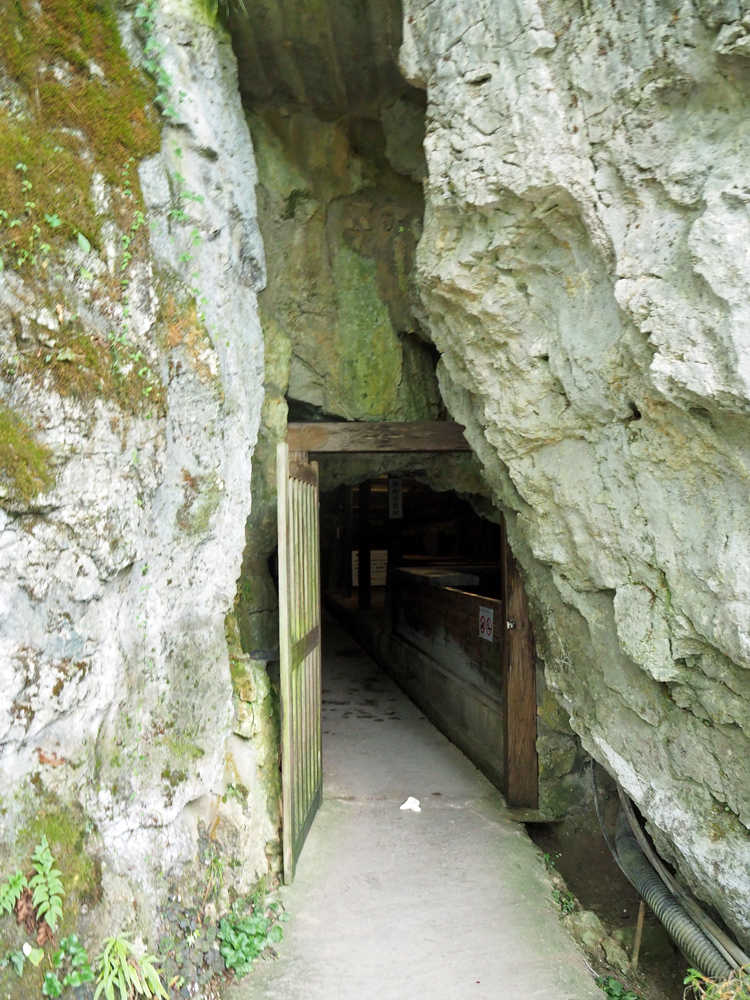 P8280127