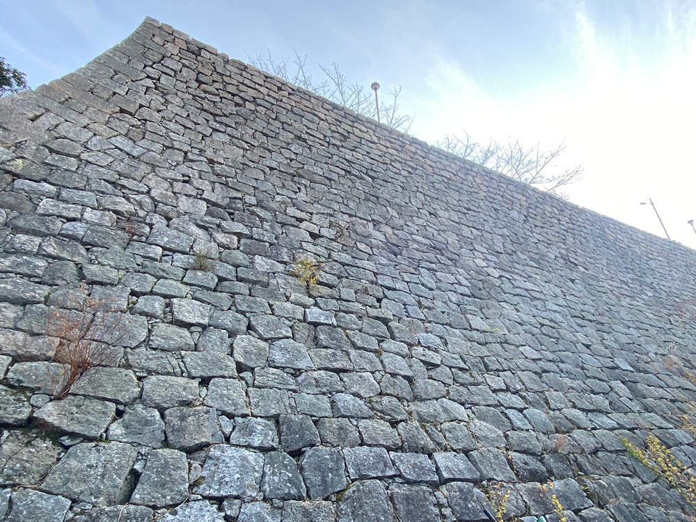 013019643d6dd563f74765d63d830cf5fcdadbd792