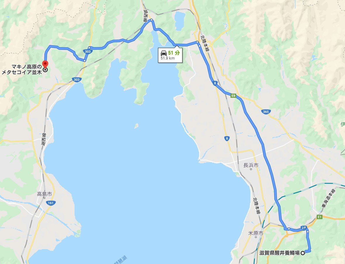 マキノまで地図